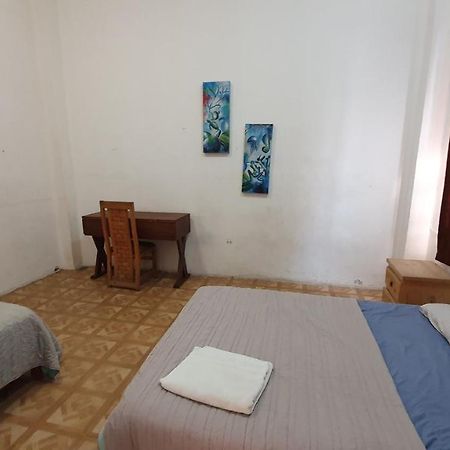 Taiyari Hostal مونتيري المظهر الخارجي الصورة