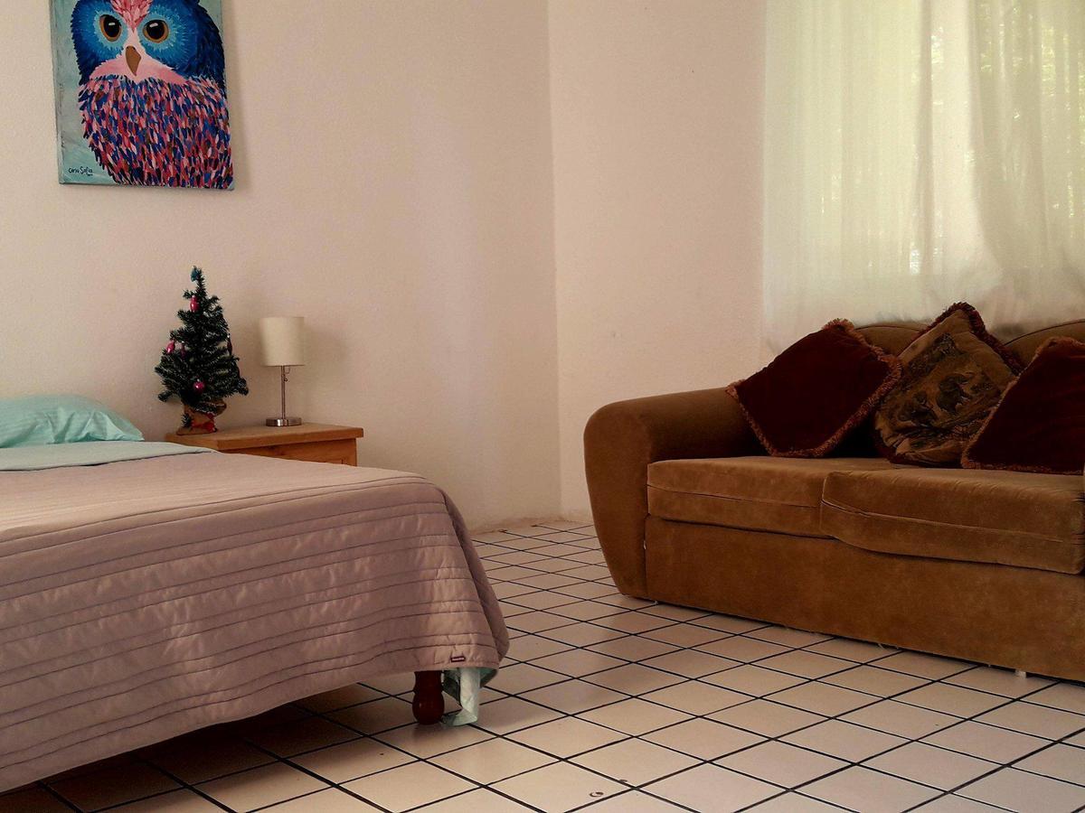 Taiyari Hostal مونتيري المظهر الخارجي الصورة
