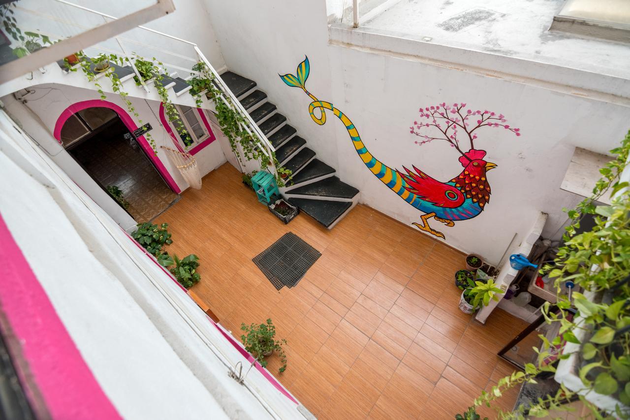 Taiyari Hostal مونتيري المظهر الخارجي الصورة