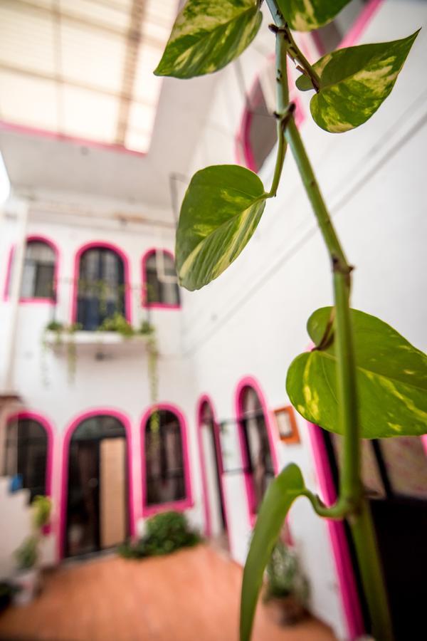 Taiyari Hostal مونتيري المظهر الخارجي الصورة