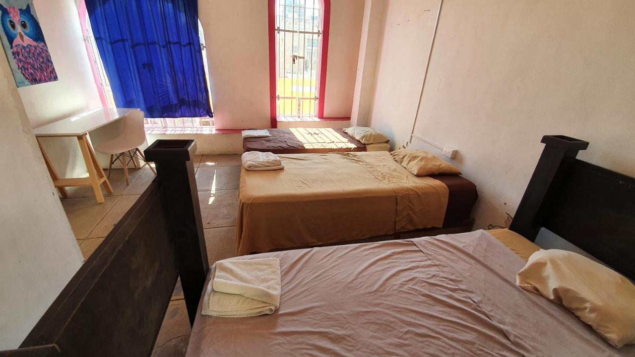 Taiyari Hostal مونتيري المظهر الخارجي الصورة