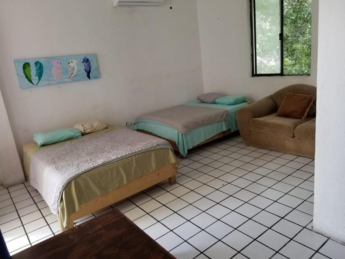 Taiyari Hostal مونتيري المظهر الخارجي الصورة